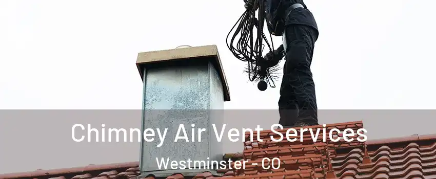  Chimney Air Vent Services Westminster - CO
