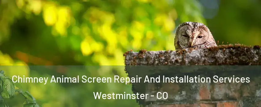 Chimney Animal Screen Repair And Installation Services Westminster - CO