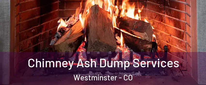 Chimney Ash Dump Services Westminster - CO