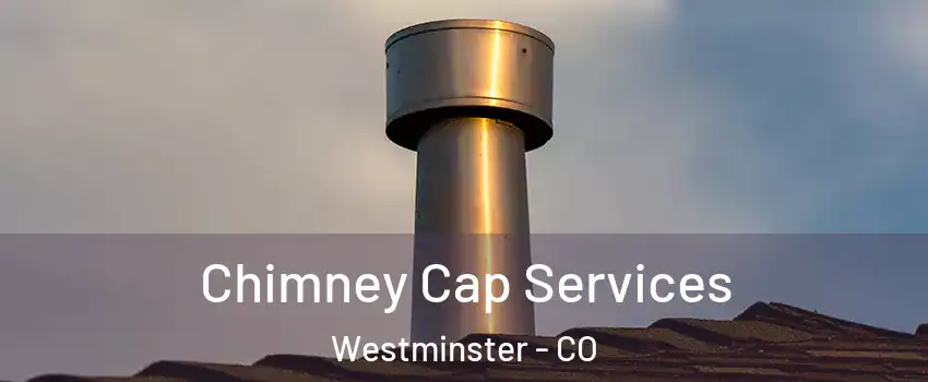  Chimney Cap Services Westminster - CO