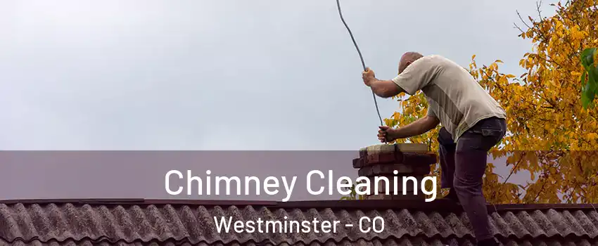  Chimney Cleaning Westminster - CO