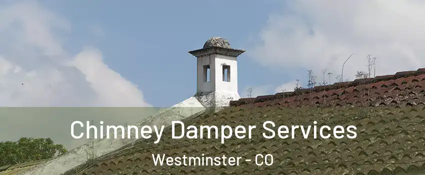  Chimney Damper Services Westminster - CO