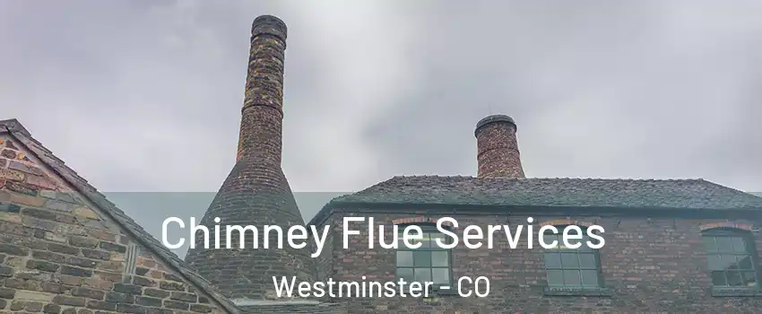  Chimney Flue Services Westminster - CO