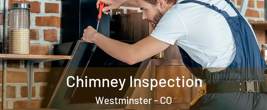  Chimney Inspection Westminster - CO