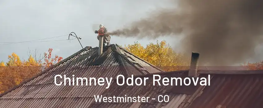  Chimney Odor Removal Westminster - CO
