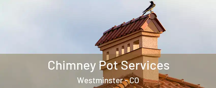  Chimney Pot Services Westminster - CO