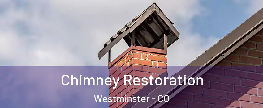  Chimney Restoration Westminster - CO