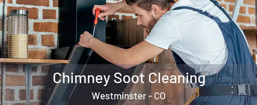  Chimney Soot Cleaning Westminster - CO