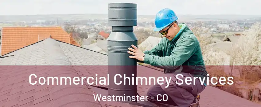  Commercial Chimney Services Westminster - CO