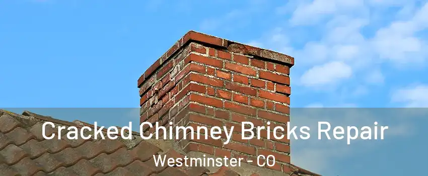  Cracked Chimney Bricks Repair Westminster - CO