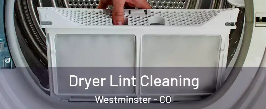  Dryer Lint Cleaning Westminster - CO