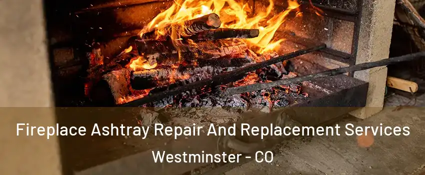  Fireplace Ashtray Repair And Replacement Services Westminster - CO