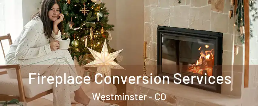  Fireplace Conversion Services Westminster - CO
