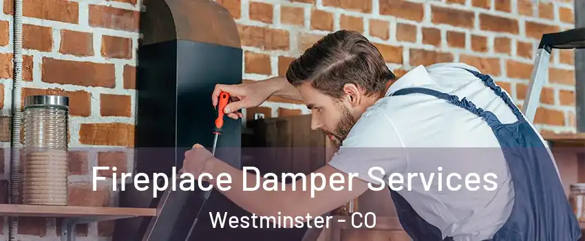  Fireplace Damper Services Westminster - CO