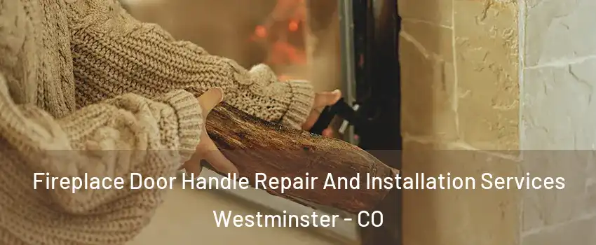  Fireplace Door Handle Repair And Installation Services Westminster - CO