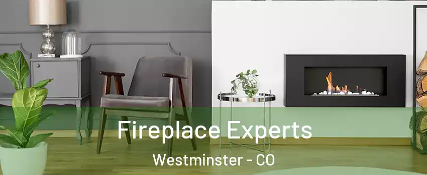  Fireplace Experts Westminster - CO
