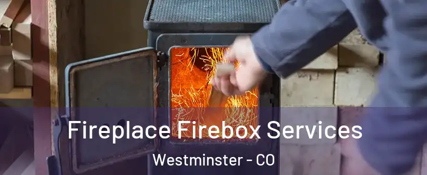  Fireplace Firebox Services Westminster - CO