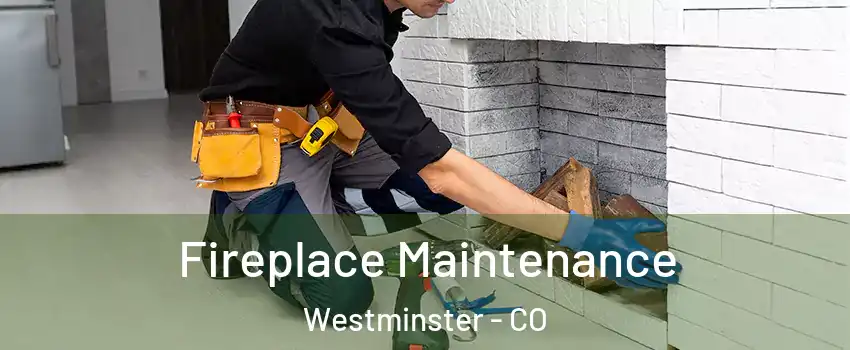  Fireplace Maintenance Westminster - CO