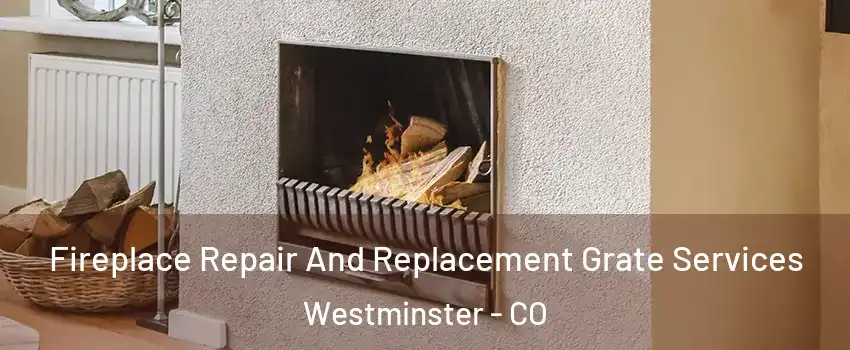  Fireplace Repair And Replacement Grate Services Westminster - CO
