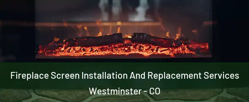  Fireplace Screen Installation And Replacement Services Westminster - CO