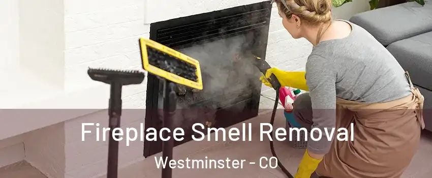  Fireplace Smell Removal Westminster - CO