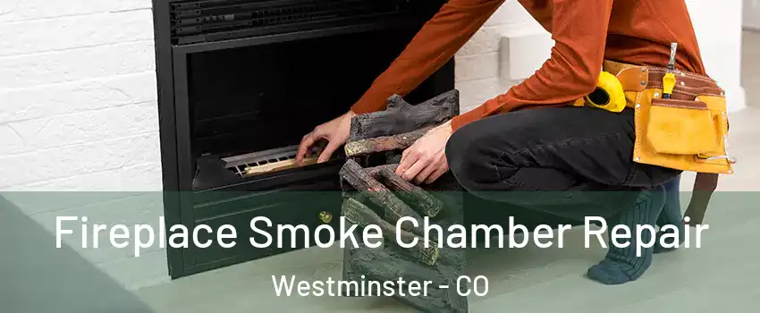  Fireplace Smoke Chamber Repair Westminster - CO