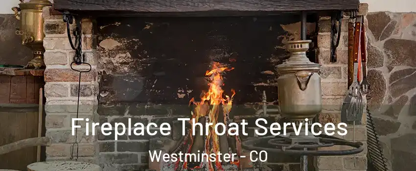  Fireplace Throat Services Westminster - CO