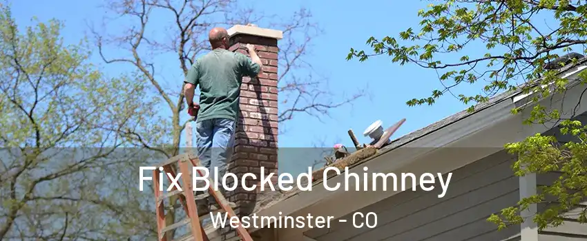  Fix Blocked Chimney Westminster - CO