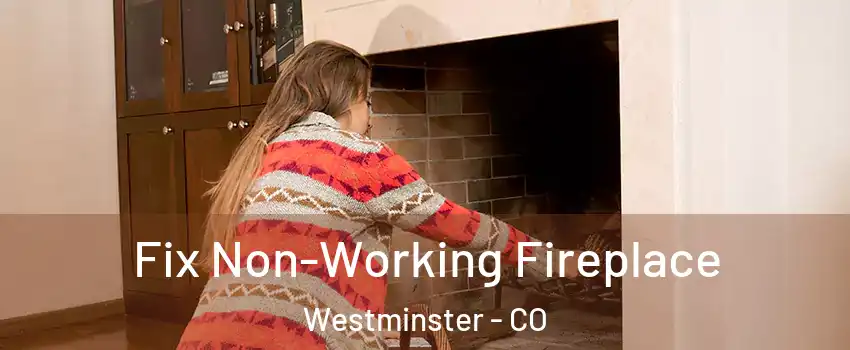  Fix Non-Working Fireplace Westminster - CO