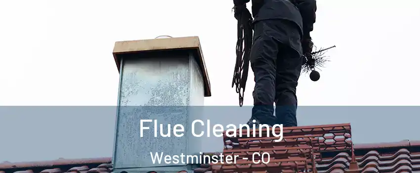  Flue Cleaning Westminster - CO