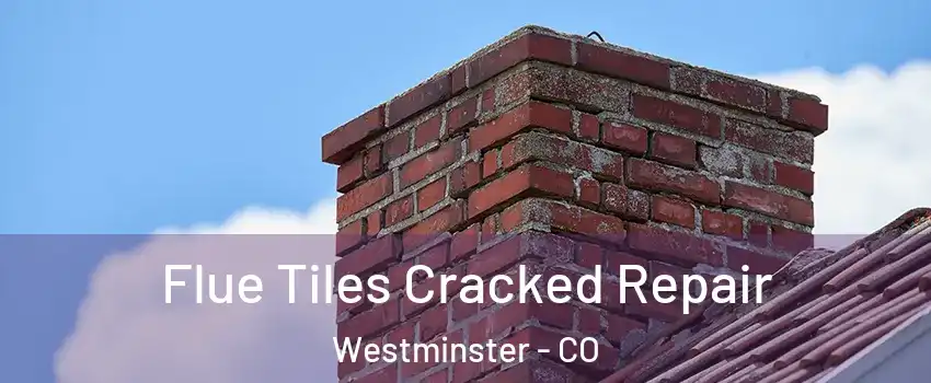  Flue Tiles Cracked Repair Westminster - CO
