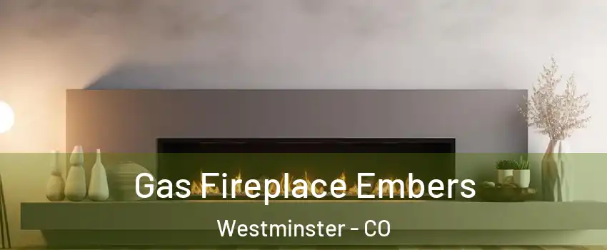  Gas Fireplace Embers Westminster - CO