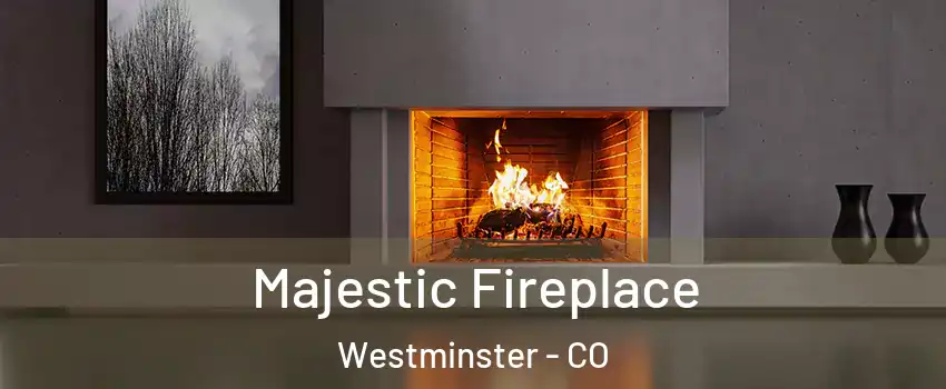  Majestic Fireplace Westminster - CO