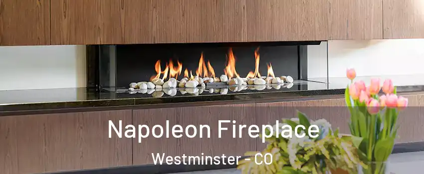  Napoleon Fireplace Westminster - CO