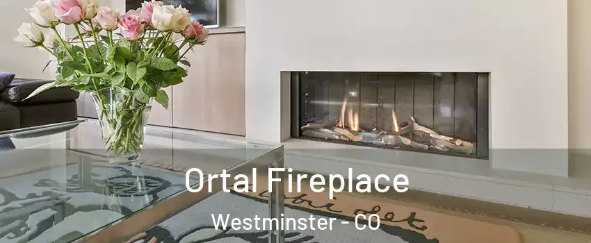  Ortal Fireplace Westminster - CO