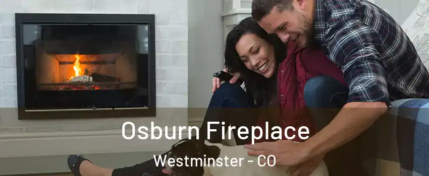  Osburn Fireplace Westminster - CO