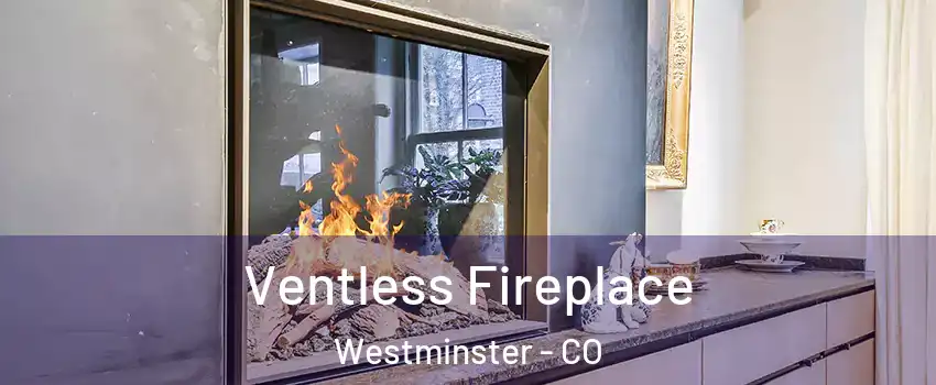  Ventless Fireplace Westminster - CO